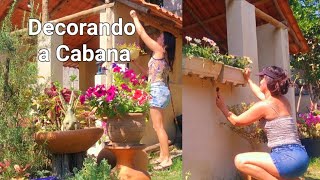 PLANTEI MAIS DE 10 TIPOS DE GAZANIASA CABANA FICANDO LINDA🥰 [upl. by Nylodnew]