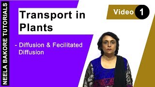 Transport in Plants  NEET  Diffusion amp Facilitated Diffusion  Neela Bakore Tutorials [upl. by Zorah683]