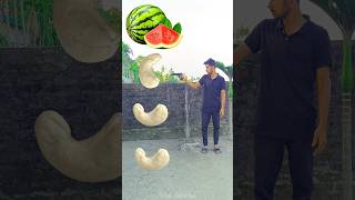 Rounding cashew nut to Grapes Mango lichi amp Watermelon  Fruits names magic video [upl. by Larochelle677]