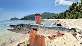 WHALE SHARK amp MONSTER BARRACUDA  Chasing Scale 🇸🇨 Ep 2 [upl. by Enimsay]