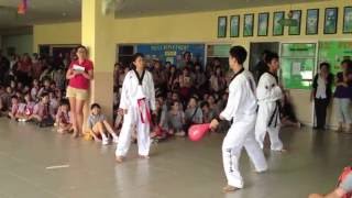 Taekwondo Demonstration in Bangkok Thailand [upl. by Sanchez]