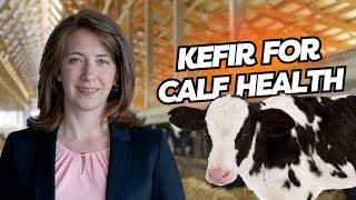 Dr Sarah Morrison Positive Biofilms in Calf Health [upl. by Buller503]