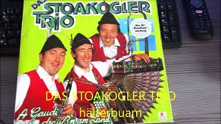 DAS STOAKOGLER TRIO Holterbuam Marsch [upl. by Idieh641]