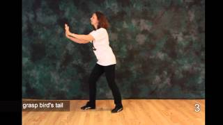 Tai Chi  The First Moves 1 2 3  Free Tai Chi Online Lessons [upl. by Bigford]