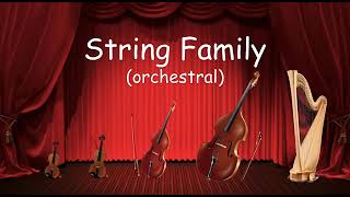 The String Family  Listen to the instruments of the strings family  Orchestra for Kids [upl. by Kamaria494]