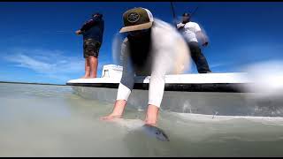 Bonefishing Andros Bahamas from Spooners Bay [upl. by Sieber]