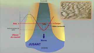 9b  Les sédiments déposés par les marées [upl. by Annyl]