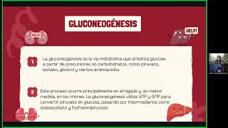 Metabolismo de carbohidratos Taller de Metabolismos [upl. by Loeb658]