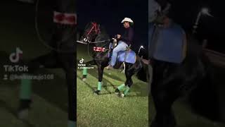 🥇caballos bailadores de sinaloa🥇 [upl. by Eleanora]