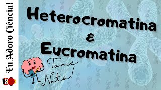 TOME NOTA Heterocromatina e Eucromatina [upl. by Clarke]