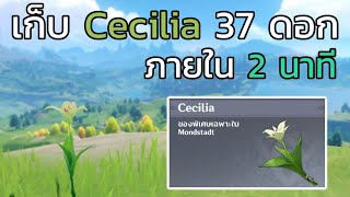 Genshin impact เก็บ Cecilia 37 ดอก ภายใน 2 นาที [upl. by Hutt873]