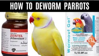 Deworming of my birds  Which dewormer is best Wormout Gel or Zentel  When amp how to Deworm Parrots [upl. by Nanny]