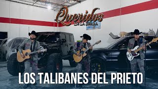 Los Talibanes del Prieto  Queridos de la Sierra [upl. by Nnaassilem]