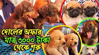 Galiff Street Pet Market Kolkata  dog market in kolkata  Dog Price  Gallif street kolkata  Dogs [upl. by Calvinna]