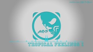 Tropical Feelings 1 by Niklas Gustavsson  Soft House Music [upl. by Lilah28]