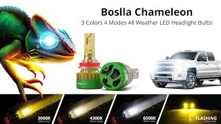 Now on Kickstarter Boslla Cameleon  3 Colors 4 Modes LED Headlight Bulb [upl. by Atram]