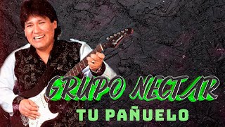 Tu pañuelo  Grupo Néctar  En vivo [upl. by Wandis165]