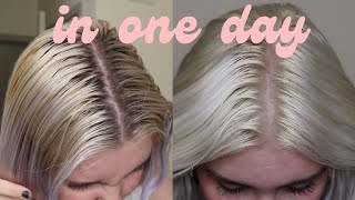 how to fix yellow roots on bleached hair [upl. by Labina]