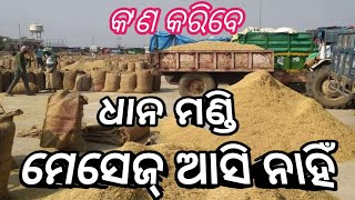 ମେସେଜ୍ ଆସି ନ ଥିଲେ ଧାନ ମଣ୍ଡି ମେସେଜ୍ token dhana mandi detailsmessage system [upl. by Odnanreh]