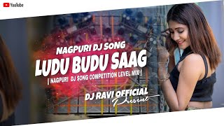 Dj SarZen Setup Song  Ludu Budu Sag  New Nagpuri Song Tapori Vibration Bass Mix Dj Ravi Telo [upl. by Bilbe390]