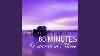 60 Minutes of Relaxation Music  1 Hour Song to Fall Asleep Fast Wellness Sleep Track [upl. by Edith]