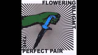 Flowering Blight  The Perfect Pair full album HQ HD [upl. by Dnalevelc223]