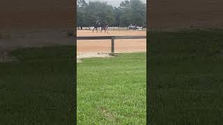 Great lesson at the showgrounds today Thank you CKeventing for all the help eventing [upl. by Cayla790]