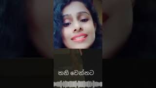 තනි වෙන්නට මගේ ලොවේ  thani wennata mage lowe song music love voiceover singersrilanka voice [upl. by Solenne856]