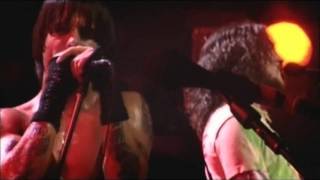 Red Hot Chili Peppers  Universally Speaking  Live at Olympia Paris [upl. by Harvie]