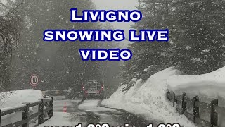 Livigno  nevicata  Live video [upl. by Sherburn]