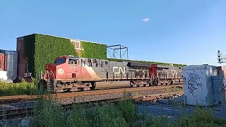 7 8 24 LONG CN TRAIN AT MONTREAL LEVEL CROSSING IN ST HENRI [upl. by Oiled]