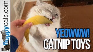 Best Organic Catnip Toys  Yeowww Catnip Cat Toys [upl. by Leia]