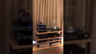 What Hi Fi 2024 Trident Hyderabad Best Stereo Audio Note [upl. by Buna]