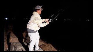 Night Fishing the Texas City Dike for MONSTERS [upl. by Nirraj]