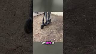 The Ninebot Segway Max G30 Review  Premium Electric Scooter Breakdown [upl. by Anuahs928]