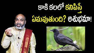 Kaki Kalalo Kanipiste Emavutundi  Crow In Dream Meaning In Telugu  Nanaji Patnaik Astrologer [upl. by Bendix]