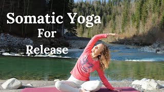 15 Minute Morning Somatic Yoga I Somatic Movement for Beginners [upl. by Leventis339]