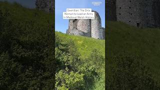 Gwenllian The Only Woman to Lead an Army in Medieval Welsh History history wales castle [upl. by Akierdna]