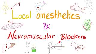 Local Anesthetics and Neuromuscular Blockers  Anesthesiology [upl. by Sirk53]