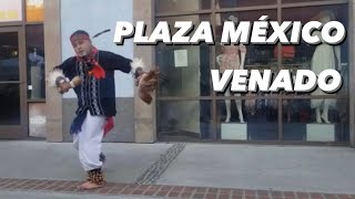 VENADO  DANZA AZTECA [upl. by Shinberg]