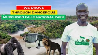 We Drove in the Dangerous MURCHISON FALLS National Park in a bus [upl. by Kery]