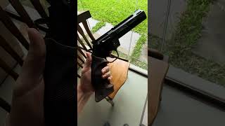 My Taurus Raging Hunter revolver with a Competition Multiframe grip by MBT [upl. by Orv577]