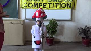 mushroom fancy dress by rushali LKG nov 2014 won first prize [upl. by Marek]