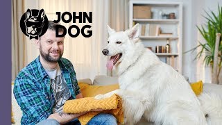 Jak nauczyć psa wycierania łap  TRENING PSA  John Dog [upl. by Possing]