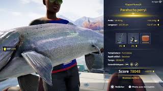 Gold Parahucho Perryi  50 Kgs 108 Lbs  Japanese Map  The Angler  Last 3 minutes fight [upl. by Ahseid]