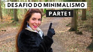 DESAFIO DO MINIMALISMO  PARTE 1 [upl. by Bebe710]