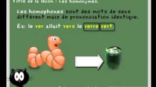 Les homonymes homophones et homographes Cours vidéo et exercices de français CE2 CM1 CM2 [upl. by Clovis]