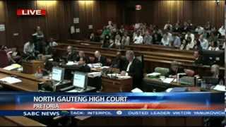 Oscar Pistorius Trial Tuesday 11 March 2014 Session 3 [upl. by Ylrebmyk78]