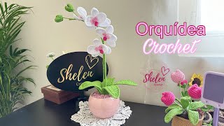 Tutorial flor Orquidea a 🪴😍🌹crochet [upl. by Naitsirc]