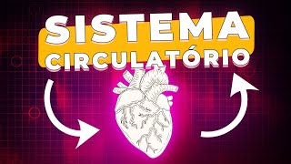 Sistema circulatório [upl. by Seldun]